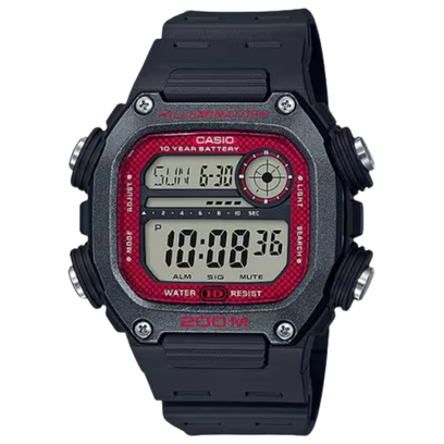 DW-291H-1BVDF-S